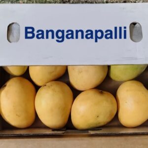 banginapally mangoes