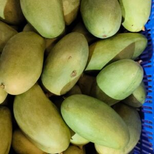 banginapally mangoes